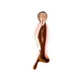 Epic Duo Skin Tool combining Traditional Gua Sha and advanced skincare technology